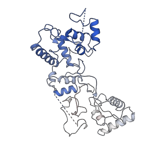 20349_6pif_I_v1-3
V. cholerae TniQ-Cascade complex, open conformation