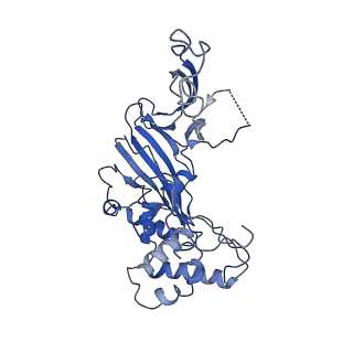 20350_6pig_A_v1-2
V. cholerae TniQ-Cascade complex, closed conformation