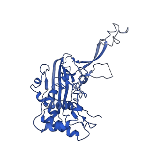 20350_6pig_B_v1-2
V. cholerae TniQ-Cascade complex, closed conformation
