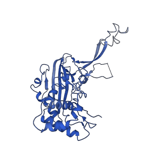 20350_6pig_B_v1-3
V. cholerae TniQ-Cascade complex, closed conformation