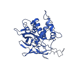 20350_6pig_D_v1-2
V. cholerae TniQ-Cascade complex, closed conformation