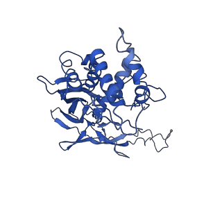 20350_6pig_D_v1-3
V. cholerae TniQ-Cascade complex, closed conformation