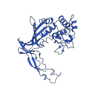 20350_6pig_E_v1-3
V. cholerae TniQ-Cascade complex, closed conformation