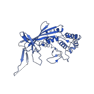 20350_6pig_F_v1-2
V. cholerae TniQ-Cascade complex, closed conformation