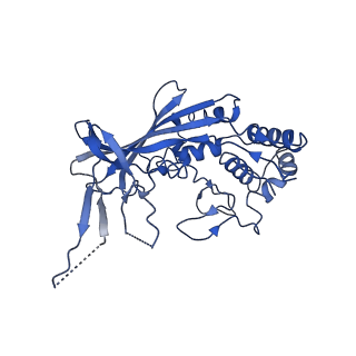 20350_6pig_F_v1-3
V. cholerae TniQ-Cascade complex, closed conformation