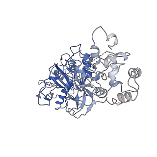 20350_6pig_G_v1-2
V. cholerae TniQ-Cascade complex, closed conformation
