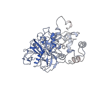 20350_6pig_G_v1-3
V. cholerae TniQ-Cascade complex, closed conformation