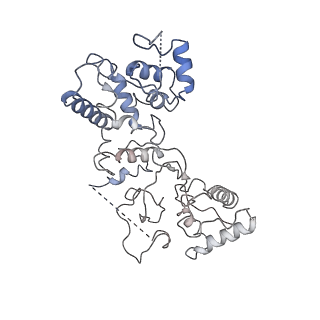 20350_6pig_I_v1-2
V. cholerae TniQ-Cascade complex, closed conformation