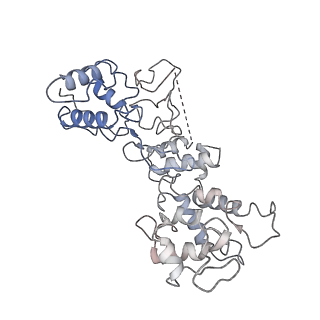 20350_6pig_J_v1-2
V. cholerae TniQ-Cascade complex, closed conformation