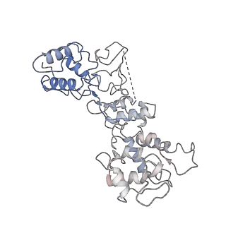 20350_6pig_J_v1-3
V. cholerae TniQ-Cascade complex, closed conformation