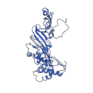 20351_6pij_A_v1-2
Target DNA-bound V. cholerae TniQ-Cascade complex, closed conformation