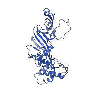 20351_6pij_A_v1-3
Target DNA-bound V. cholerae TniQ-Cascade complex, closed conformation