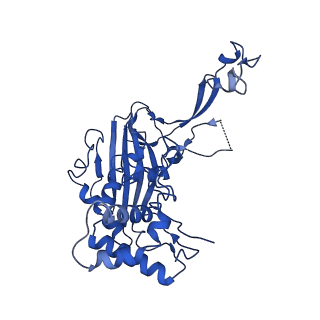 20351_6pij_B_v1-2
Target DNA-bound V. cholerae TniQ-Cascade complex, closed conformation