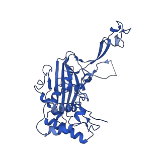 20351_6pij_B_v1-3
Target DNA-bound V. cholerae TniQ-Cascade complex, closed conformation