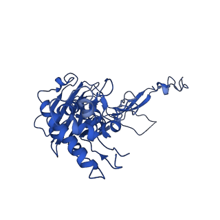 20351_6pij_C_v1-3
Target DNA-bound V. cholerae TniQ-Cascade complex, closed conformation