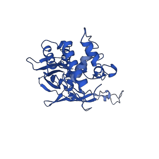 20351_6pij_D_v1-2
Target DNA-bound V. cholerae TniQ-Cascade complex, closed conformation