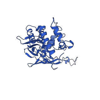 20351_6pij_D_v1-3
Target DNA-bound V. cholerae TniQ-Cascade complex, closed conformation