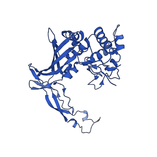 20351_6pij_E_v1-2
Target DNA-bound V. cholerae TniQ-Cascade complex, closed conformation