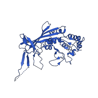 20351_6pij_F_v1-2
Target DNA-bound V. cholerae TniQ-Cascade complex, closed conformation