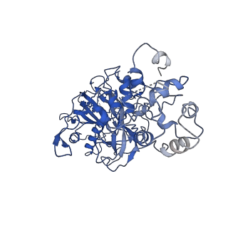 20351_6pij_G_v1-2
Target DNA-bound V. cholerae TniQ-Cascade complex, closed conformation