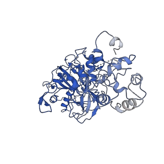 20351_6pij_G_v1-3
Target DNA-bound V. cholerae TniQ-Cascade complex, closed conformation