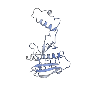 20351_6pij_H_v1-2
Target DNA-bound V. cholerae TniQ-Cascade complex, closed conformation