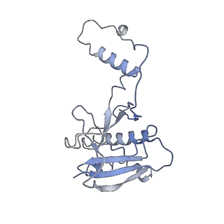 20351_6pij_H_v1-3
Target DNA-bound V. cholerae TniQ-Cascade complex, closed conformation