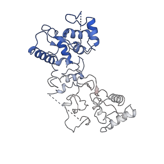 20351_6pij_I_v1-2
Target DNA-bound V. cholerae TniQ-Cascade complex, closed conformation