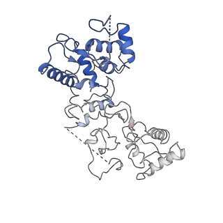 20351_6pij_I_v1-3
Target DNA-bound V. cholerae TniQ-Cascade complex, closed conformation