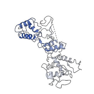 20351_6pij_J_v1-2
Target DNA-bound V. cholerae TniQ-Cascade complex, closed conformation