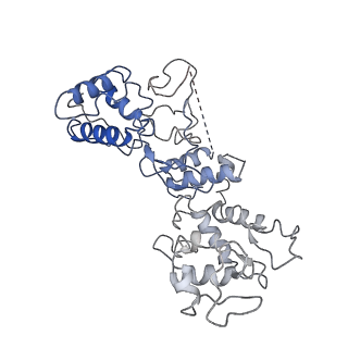 20351_6pij_J_v1-3
Target DNA-bound V. cholerae TniQ-Cascade complex, closed conformation