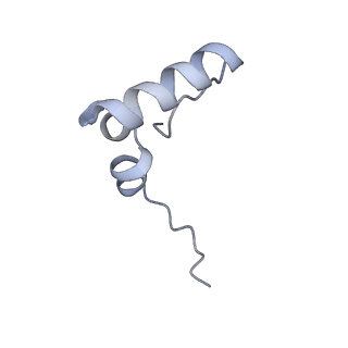 13461_7pjv_2_v1-0
Structure of the 70S-EF-G-GDP-Pi ribosome complex with tRNAs in hybrid state 1 (H1-EF-G-GDP-Pi)