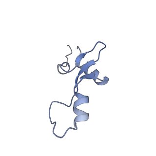 13461_7pjv_3_v1-0
Structure of the 70S-EF-G-GDP-Pi ribosome complex with tRNAs in hybrid state 1 (H1-EF-G-GDP-Pi)