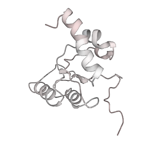 13461_7pjv_5_v1-0
Structure of the 70S-EF-G-GDP-Pi ribosome complex with tRNAs in hybrid state 1 (H1-EF-G-GDP-Pi)