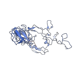 13461_7pjv_C_v1-0
Structure of the 70S-EF-G-GDP-Pi ribosome complex with tRNAs in hybrid state 1 (H1-EF-G-GDP-Pi)