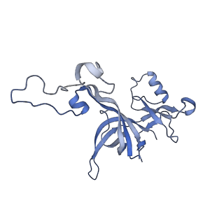 13461_7pjv_D_v1-0
Structure of the 70S-EF-G-GDP-Pi ribosome complex with tRNAs in hybrid state 1 (H1-EF-G-GDP-Pi)