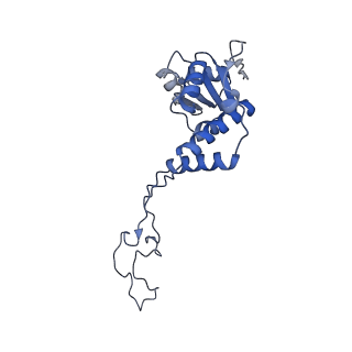 13461_7pjv_E_v1-0
Structure of the 70S-EF-G-GDP-Pi ribosome complex with tRNAs in hybrid state 1 (H1-EF-G-GDP-Pi)