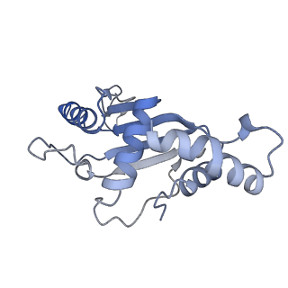 13461_7pjv_F_v1-0
Structure of the 70S-EF-G-GDP-Pi ribosome complex with tRNAs in hybrid state 1 (H1-EF-G-GDP-Pi)