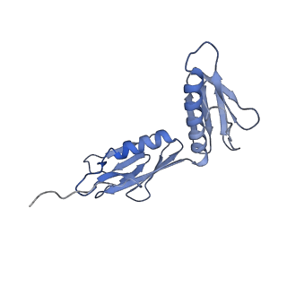 13461_7pjv_G_v1-0
Structure of the 70S-EF-G-GDP-Pi ribosome complex with tRNAs in hybrid state 1 (H1-EF-G-GDP-Pi)