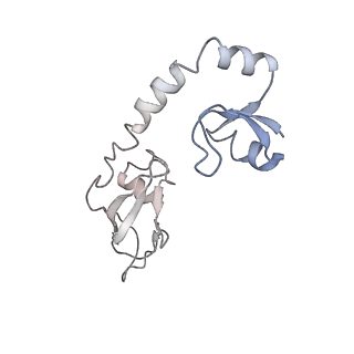 13461_7pjv_H_v1-0
Structure of the 70S-EF-G-GDP-Pi ribosome complex with tRNAs in hybrid state 1 (H1-EF-G-GDP-Pi)