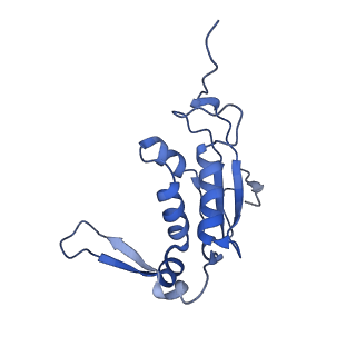 13461_7pjv_J_v1-0
Structure of the 70S-EF-G-GDP-Pi ribosome complex with tRNAs in hybrid state 1 (H1-EF-G-GDP-Pi)