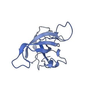 13461_7pjv_K_v1-0
Structure of the 70S-EF-G-GDP-Pi ribosome complex with tRNAs in hybrid state 1 (H1-EF-G-GDP-Pi)