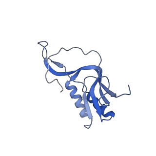 13461_7pjv_M_v1-0
Structure of the 70S-EF-G-GDP-Pi ribosome complex with tRNAs in hybrid state 1 (H1-EF-G-GDP-Pi)