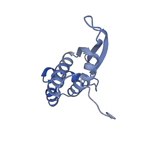 13461_7pjv_N_v1-0
Structure of the 70S-EF-G-GDP-Pi ribosome complex with tRNAs in hybrid state 1 (H1-EF-G-GDP-Pi)