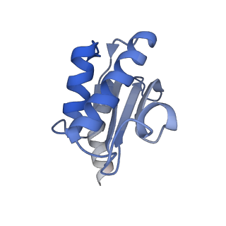13461_7pjv_O_v1-0
Structure of the 70S-EF-G-GDP-Pi ribosome complex with tRNAs in hybrid state 1 (H1-EF-G-GDP-Pi)