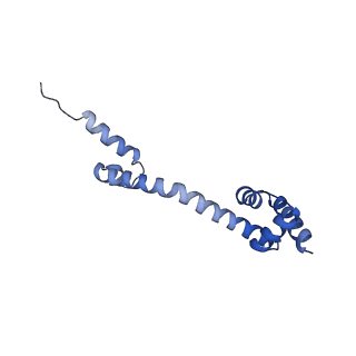 13461_7pjv_Q_v1-0
Structure of the 70S-EF-G-GDP-Pi ribosome complex with tRNAs in hybrid state 1 (H1-EF-G-GDP-Pi)