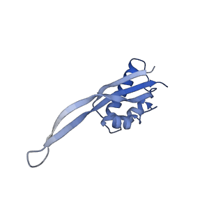 13461_7pjv_S_v1-0
Structure of the 70S-EF-G-GDP-Pi ribosome complex with tRNAs in hybrid state 1 (H1-EF-G-GDP-Pi)