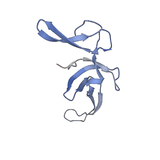 13461_7pjv_U_v1-0
Structure of the 70S-EF-G-GDP-Pi ribosome complex with tRNAs in hybrid state 1 (H1-EF-G-GDP-Pi)