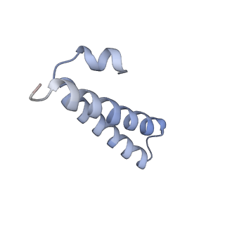 13461_7pjv_Y_v1-0
Structure of the 70S-EF-G-GDP-Pi ribosome complex with tRNAs in hybrid state 1 (H1-EF-G-GDP-Pi)