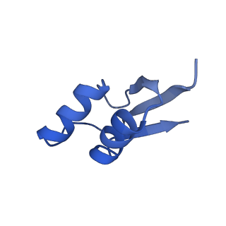 13461_7pjv_Z_v1-0
Structure of the 70S-EF-G-GDP-Pi ribosome complex with tRNAs in hybrid state 1 (H1-EF-G-GDP-Pi)